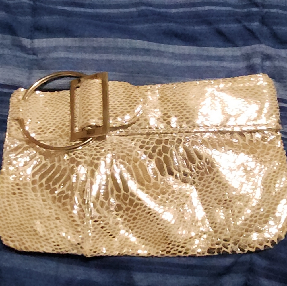 Silver clutch